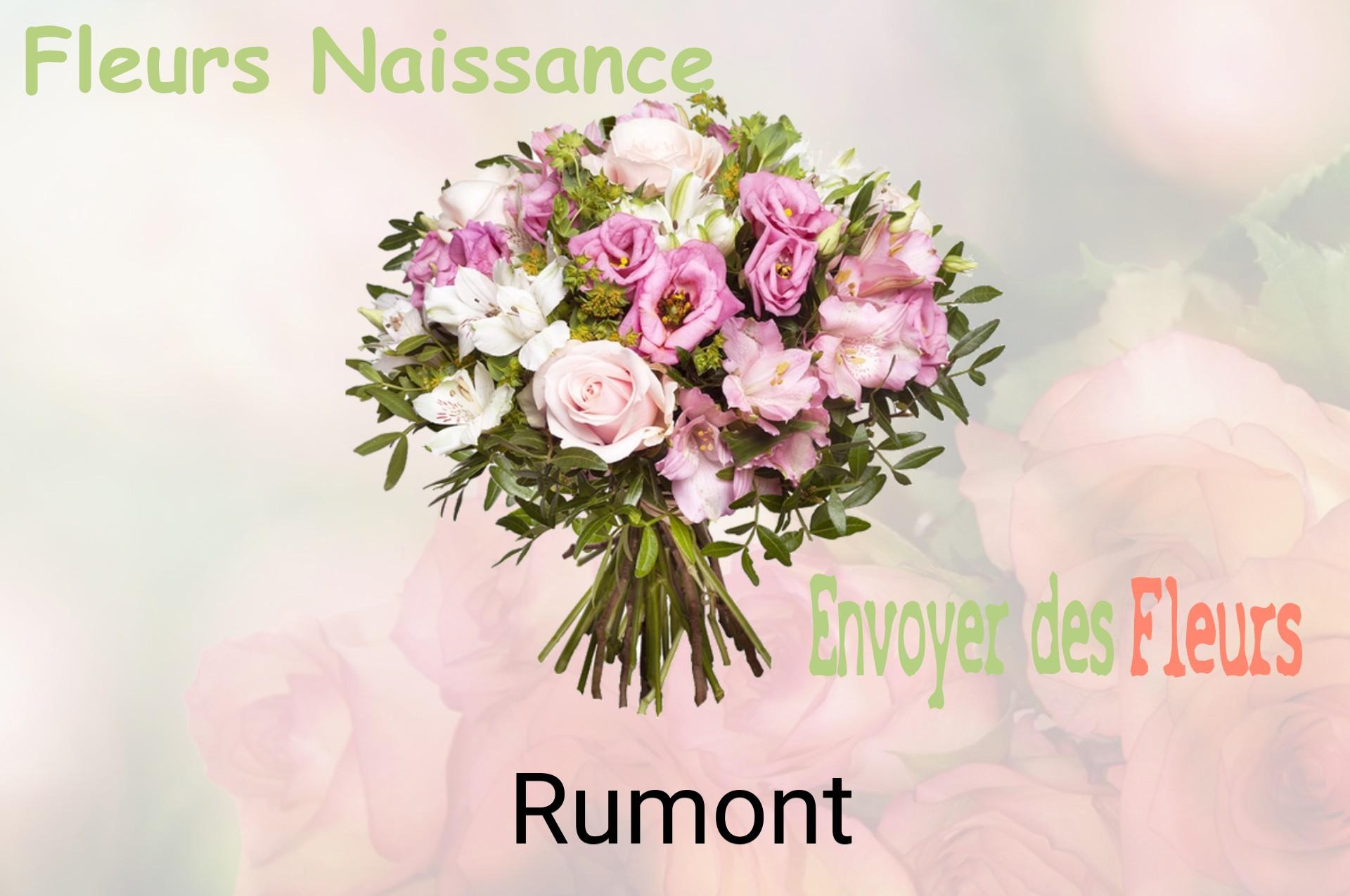 Bouquet de fleurs de naissance livré à Rumont